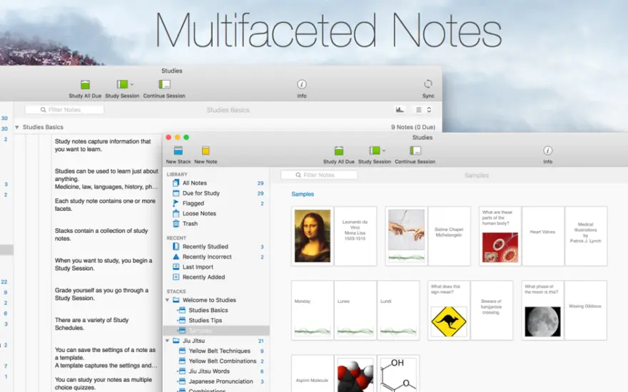 لقطة شاشة لتطبيق Studies 1.8.11 – Flashcards for Serious Students